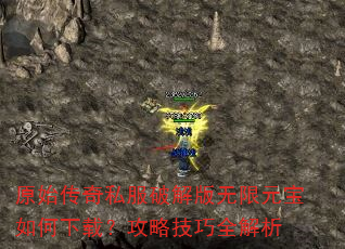 ԭʼ˽ƽԪأԼȫ