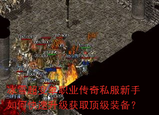 ѩ䵥ְҵ˽οȡװ