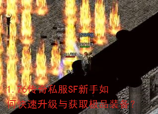 1.76˽SFοȡƷװ