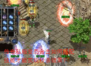 ˽̬ϻδ似ܲʵɱЧ