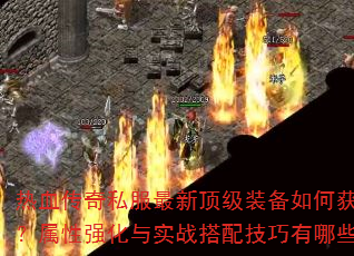 Ѫ˽¶װλȡǿʵս似Щ