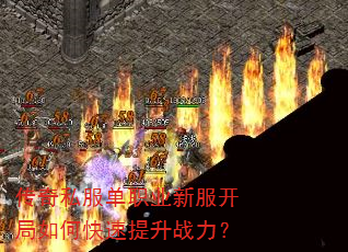 ˽ְҵ·οս