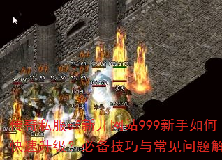 ˽sf¿վ999οر볣