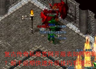 Ŵ˽βѯǰڿЩ