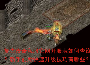 Ŵ˽βѯǰڿЩ
