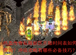 Ѫ˽ʱβѯ弶Щرɣ
