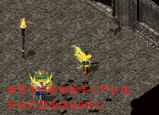 Ѵ˽οռBOSS