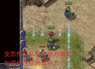 ̬˽޵汾οս