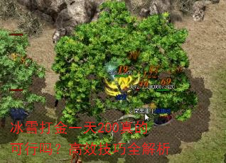 ѩһ200Ŀ𣿸Чȫ