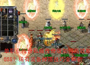 ְҵ˽θЧˢBOSSϡװ似ȫ