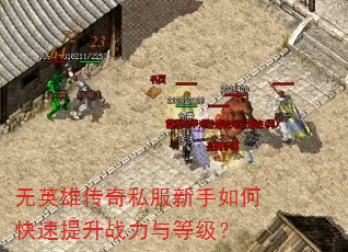 无英雄传奇私服新手如何快速提升战力与等级? 无英雄传奇私服新手如何快速提升战力与等级?