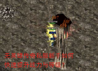 无英雄传奇私服新手如何快速提升战力与等级? 无英雄传奇私服新手如何快速提升战力与等级?