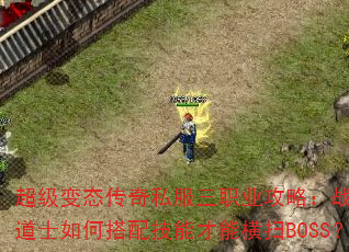 超级变态传奇私服三职业攻略:战士法师道士如何搭配技能才能横扫BOSS? 超级变态传奇私服三职业攻略:战士法师道士如何搭配技能才能横扫BOSS?