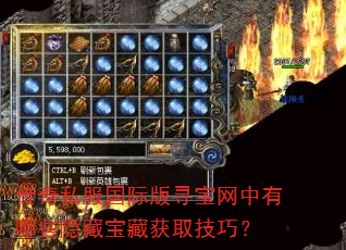 传奇私服国际版寻宝网中有哪些隐藏宝藏获取技巧? 传奇私服国际版寻宝网中有哪些隐藏宝藏获取技巧?