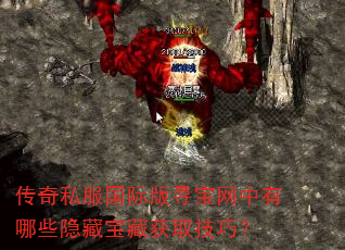 传奇私服国际版寻宝网中有哪些隐藏宝藏获取技巧? 传奇私服国际版寻宝网中有哪些隐藏宝藏获取技巧?