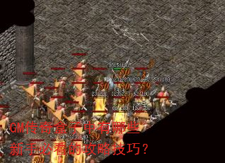 GM传奇盒子中有哪些新手必看的攻略技巧? GM传奇盒子中有哪些新手必看的攻略技巧?