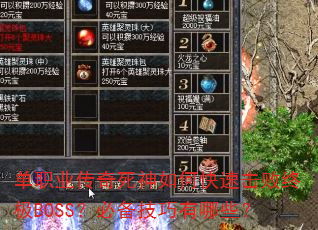 单职业传奇死神如何快速击败终极BOSS?必备技巧有哪些? 单职业传奇死神如何快速击败终极BOSS?必备技巧有哪些?