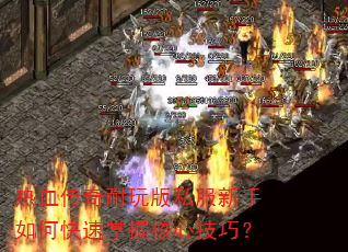 热血传奇耐玩版私服新手如何快速掌握核心技巧? 热血传奇耐玩版私服新手如何快速掌握核心技巧?