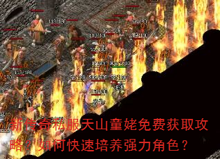 新传奇私服天山童姥免费获取攻略?如何快速培养强力角色? 新传奇私服天山童姥免费获取攻略?如何快速培养强力角色?