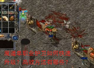 魔道单职业护卫如何快速升级?高效方法有哪些? 魔道单职业护卫如何快速升级?高效方法有哪些?