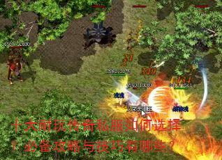 ʮ洫˽ѡ񣿱ر뼼Щ