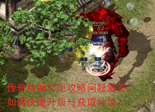 传奇私服常见攻略问题解答,如何快速升级与获取神装? 传奇私服常见攻略问题解答,如何快速升级与获取神装?