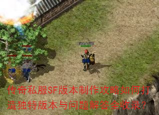 传奇私服SF版本制作攻略如何打造独特版本与问题解答全收录? 传奇私服SF版本制作攻略如何打造独特版本与问题解答全收录?