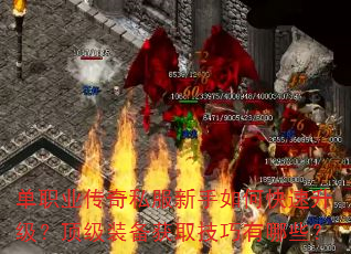 单职业传奇私服新手如何快速升级?顶级装备获取技巧有哪些? 单职业传奇私服新手如何快速升级?顶级装备获取技巧有哪些?