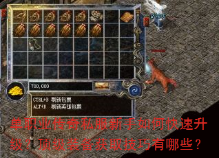 单职业传奇私服新手如何快速升级?顶级装备获取技巧有哪些? 单职业传奇私服新手如何快速升级?顶级装备获取技巧有哪些?