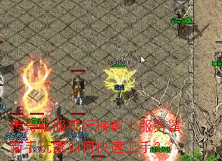 传奇私服排行榜前十服务器新手玩家如何快速上手? 传奇私服排行榜前十服务器新手玩家如何快速上手?