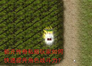 新开传奇私服玩家如何快速提升角色战斗力? 新开传奇私服玩家如何快速提升角色战斗力?