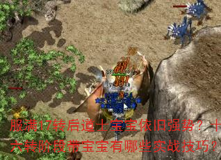 17תʿǿƣʮת׶δЩʵսɣ