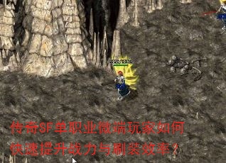 SFְҵ΢οսˢװЧʣ