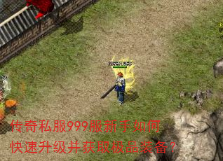 传奇私服999服新手如何快速升级并获取极品装备? 传奇私服999服新手如何快速升级并获取极品装备?
