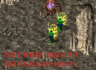 ΢䴫·οٻȡ߼װ뼼飿