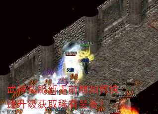 武神私服新手前期如何快速升级获取稀有装备? 武神私服新手前期如何快速升级获取稀有装备?