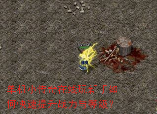 单机小传奇在线玩新手如何快速提升战力与等级? 单机小传奇在线玩新手如何快速提升战力与等级?