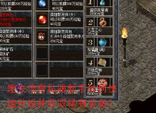 迷失传奇私服新手如何快速升级并获取稀有装备? 迷失传奇私服新手如何快速升级并获取稀有装备?