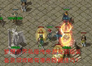 梦想世界私服传奇游戏顶级装备获取攻略有哪些隐藏技巧? 梦想世界私服传奇游戏顶级装备获取攻略有哪些隐藏技巧?