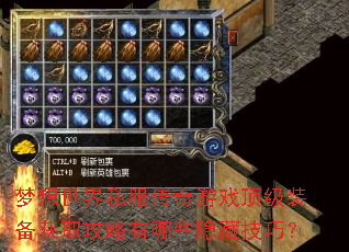 梦想世界私服传奇游戏顶级装备获取攻略有哪些隐藏技巧? 梦想世界私服传奇游戏顶级装备获取攻略有哪些隐藏技巧?