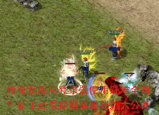 传奇私服总登录器使用疑难全解?新手必看称霸全服秘籍大公开 传奇私服总登录器使用疑难全解?新手必看称霸全服秘籍大公开