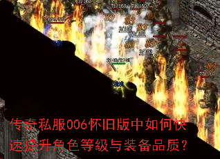 ����˽��006���ɰ�����ο���������ɫ�ȼ���װ��Ʒ�ʣ�