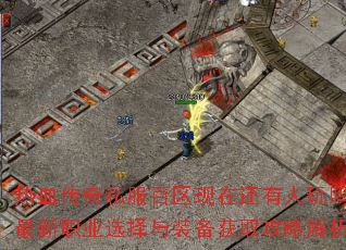 ��Ѫ����˽���������ڻ�������������ְҵѡ����װ����ȡ���Խ���