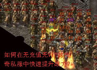 ������޳�ֵ��VIP�Ĵ���˽���п�������ս����