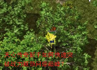 ���Ĵ���������ο���ͻ��ս��ƿ���ʶ��۷壿