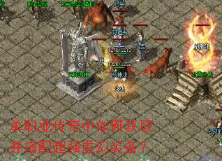 ��ְҵ��������λ�ȡ�����䳬ǿ���װ����