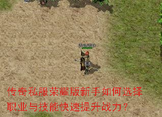 ����˽����ҫ���������ѡ��ְҵ�뼼�ܿ�������ս����