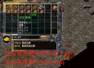 ��û����Ѵ���˽�������ֱر�������ܿ�ָ��