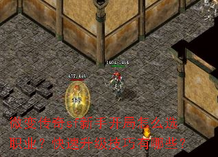 ΢�䴫��sf���ֿ�����ôѡְҵ������������������Щ��