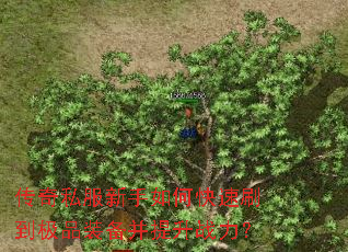 ����˽��������ο���ˢ����Ʒװ��������ս����